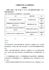 四川省成都市成华区某校2024届高三上学期一诊模拟考试理综生物试题（Word版附解析）