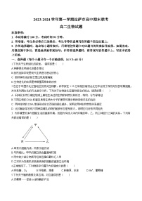 2024自治区拉萨高二上学期期末联考试题生物无答案