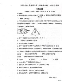 河南省信阳市商城县石桥中学2023-2024学年高二上学期12月月考生物试题