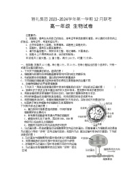 2024湖南省雅礼中学高一上学期12月月考生物试卷含答案