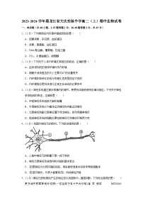 黑龙江省大庆实验中学2023-2024学年高二上学期期中生物试卷