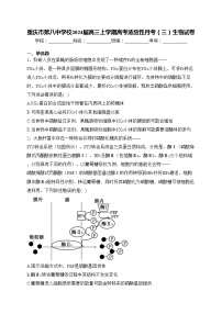 重庆市第八中学校2024届高三上学期高考适应性月考（三）生物试卷(含答案)