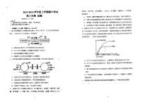 黑龙江省宜春市铁力市马永顺中学2023-2024学年高三上学期期中生物试题