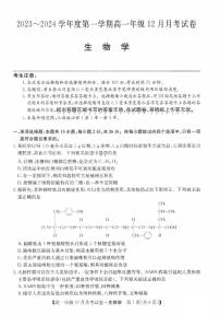 2024沧州部分学校高一上学期12月月考试题生物PDF版含答案