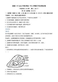 福建省泉州市泉港区二中2023-2024学年高一上学期12月月考生物试题（Word版附解析）