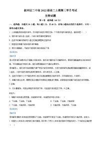 四川省宜宾市叙州区二中2023-2024学年高二12月月考生物试题（Word版附解析）