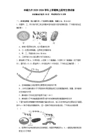 江西省宜春市丰城市第九中学2024届高三上学期12月月考生物