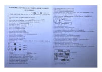 海南省省直辖县级行政单位昌江黎族自治县首都师范大学附属昌江矿区中学2023-2024学年高二上学期12月月考生物试题