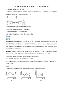 四川省广安市华蓥中学2023-2024学年高二上学期12月月考生物试题（Word版附解析）