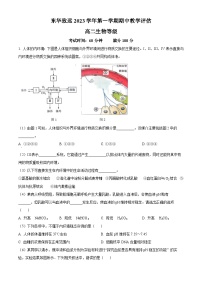 2024上海市东华大学附属奉贤致远中学高二上学期期中考试生物含解析