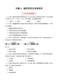 专题11 基因突变及其他变异-备战2024年高中学业水平考试生物真题分类汇编