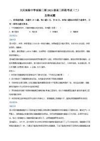 2024省大庆实验中学实验三部高三上学期阶段考试（二）生物含解析