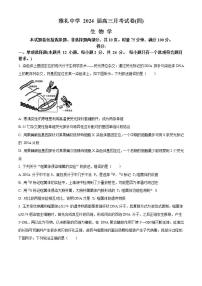 2024长沙雅礼中学高三上学期月考（四）生物试卷含解析