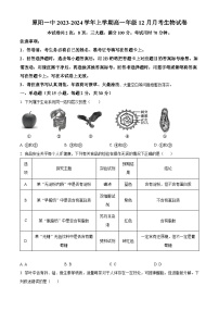 河南省新乡市原阳县第一高级中学2023-2024学年高一上学期12月月考生物试卷（Word版附解析）