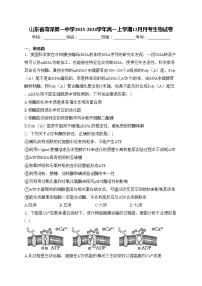 山东省菏泽第一中学2023-2024学年高一上学期12月月考生物试卷(含答案)