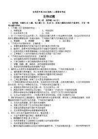 四川省宜宾市第四中学校2023-2024学年高二上学期1月期末生物试题