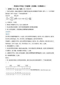 天津市武清区河西务中学2023-2024学年高二上学期第三次月考生物试题