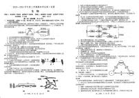 辽宁省协作校联考2023-2024学年高二上学期1月期末生物试题