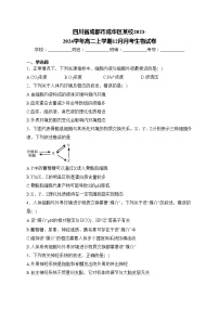 四川省成都市成华区某校2023-2024学年高二上学期12月月考生物试卷(含答案)