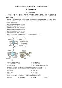 2024衡水武强中学高一上学期期末考试生物含解析