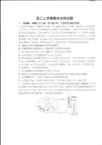 2024德州一中高三上学期1月期末考试生物PDF版含解析