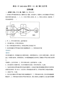 安徽省淮北市第一中学2023-2024学年高二上学期第三次月考生物试题（Word版附解析）