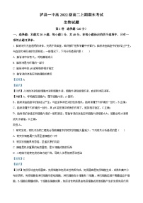 四川省泸州市泸县第一中学2023-2024学年高二上学期1月期末生物试题（Word版附解析）