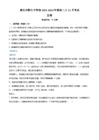 重庆市黔江中学2023-2024学年高二上学期11月月考生物试题（Word版附解析）