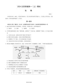 北京市西城区2023-2024学年高一上学期1月期末考试生物试题