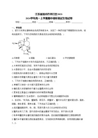 江苏省扬州市邗江区2023-2024学年高一上学期期中调研测试生物试卷(含答案)