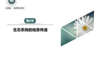 高中生物人教版 (2019)选择性必修2第3章 生态系统及其稳定性第4节 生态系统的信息传递教学演示课件ppt
