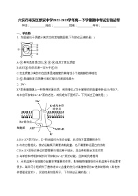 六安市裕安区新安中学2022-2023学年高一下学期期中考试生物试卷(含答案)