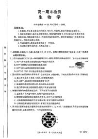 2024陇南高一上学期期末检测试题生物PDF版含答案