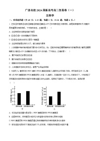 广西名校2024届高三上学期新高考仿真卷（一）生物