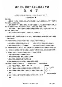 湖北省十堰市2023-2024学年高三元月调研考试生物试卷