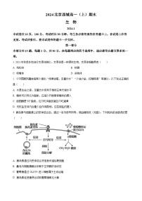 北京市西城区2023-2024学年高一上学期期末生物试题（Word版附解析）