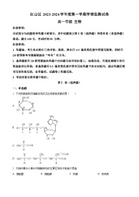 内蒙古自治区赤峰市红山区2023-2024学年高一上学期期末生物试题（Word版附解析）