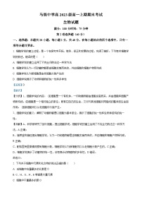 四川省泸州市合江县马街中学校2023-2024学年高一上学期1月期末生物试题（Word版附解析）