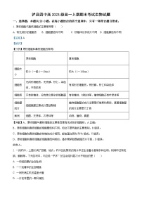 四川省泸州市泸县四中2023-2024学年高一上学期1月期末生物试题（Word版附解析）