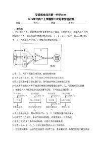 安徽省淮北市第一中学2023-2024学年高二上学期第三次月考生物试卷(含答案)