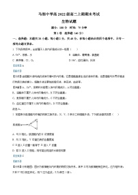 2024泸州合江县马街中学高二上学期1月期末生物试题含解析