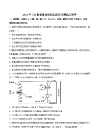 甘肃省联考2024届高三新高考适应性测试生物试卷（含答案）