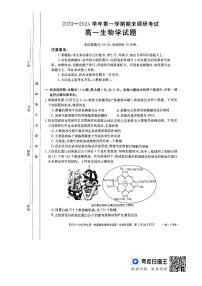 河北省保定市定州市2023-2024学年高一上学期1月期末生物试题(1)