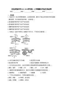 河北武强中学2023-2024学年高一上学期期末考试生物试卷(含答案)