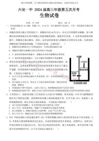 安徽省六安第一中学2024届高三上学期第五次月考生物