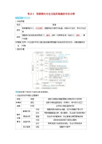 备考2024届高考生物一轮复习讲义第四章细胞的生命历程课时1细胞的增殖考点3观察根尖分生区组织细胞的有丝分裂