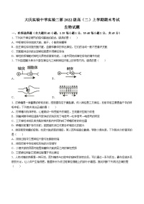 黑龙江省大庆实验中学实验二部2023-2024学年高二上学期期末生物试题(无答案)