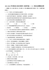 28，黑龙江省佳木斯市三校2023-2024学年高二上学期期末模拟生物试卷