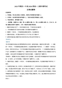 重庆市第一中学2023—2024学年高一上学期期中生物试题（Word版附解析）