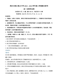 湖北省武汉市部分重点中学2023-2024学年高一上学期期末联考生物试题（Word版附解析）